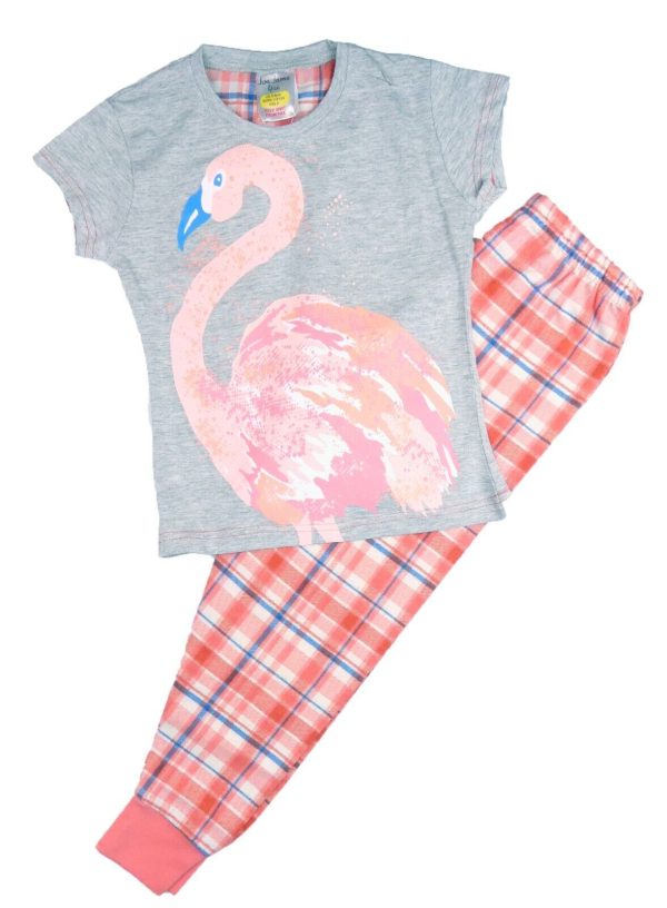 Girls Pyjamas Pink Flamingo DesignLong Pyjamas 7 to 13 Years